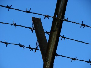 photo of jail, containment, barbed wire, prison, jail